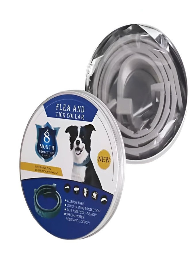 ABTER Anti-Tick Collar for Dogs & Cats - Long-Lasting Protection Against Ticks, Fleas & Insects, Safe & Comfortable, Adjustable Multicolor Pet Collar - Image 1